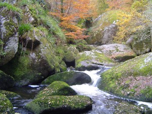 Foret d' Huelgoat non loin du gite Ty Bihan Baradoz